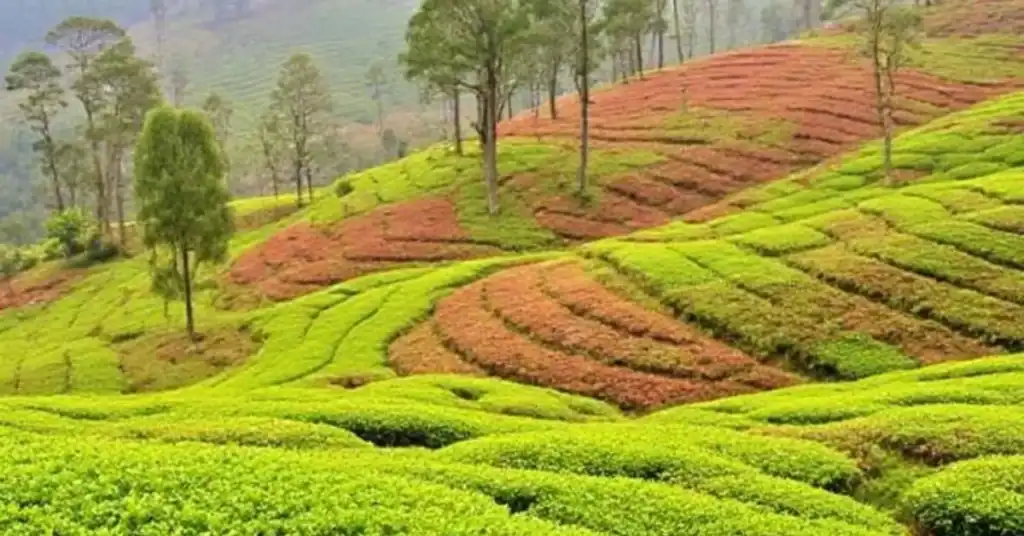 Top 10 tourist places in kerala