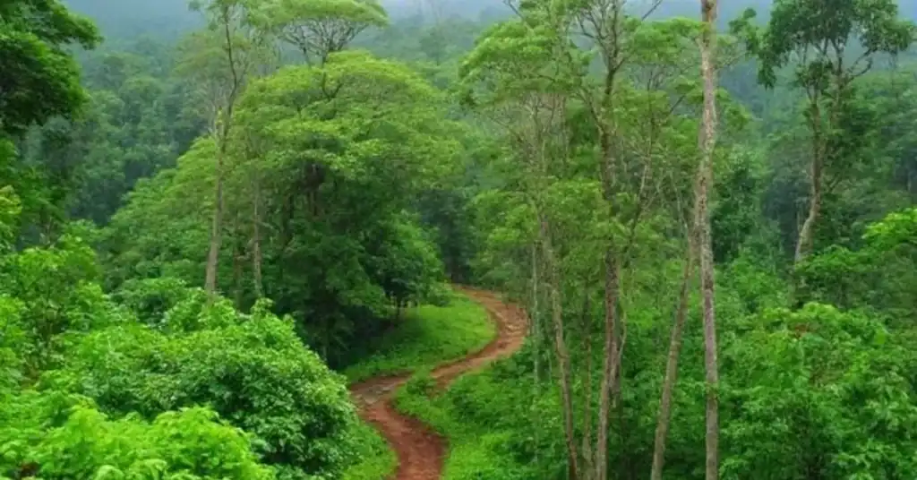 Top 10 tourist places in kerala