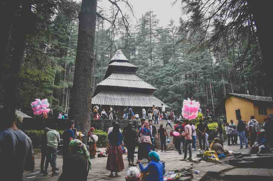 Hadimba Devi Temple: This is not just a temple; it is a feeling. Built in a beautiful wooden pagoda style and surrounded by giant Cedar (Deodar) trees,