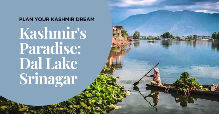 Traditional wooden houseboats on Dal Jheel Srinagar – A peaceful morning view in Kashmir.