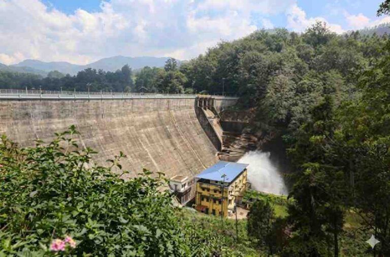 Eravikulam National Park From 18 kilometers awayThere is Mattupetty Dam.This dam is considered the largest in Kerala.